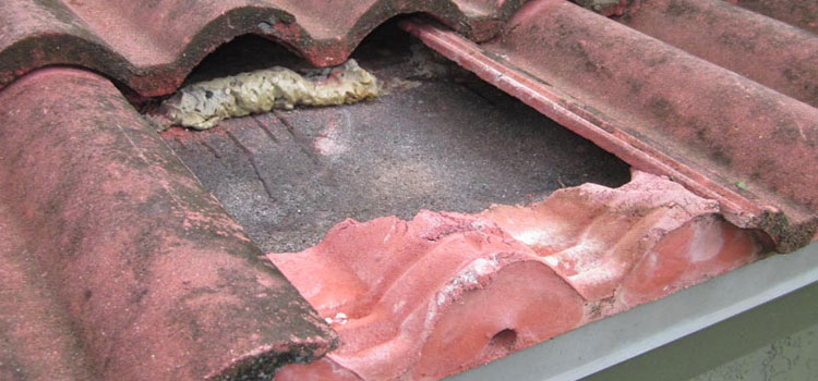 Concrete Ridge Tile Roofing Goleta
